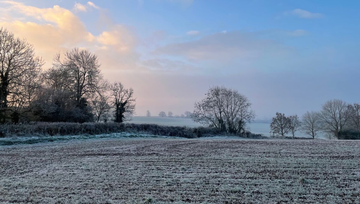 Frosty winter morning showing fields and hedges. Photo by poet Nicola Healey