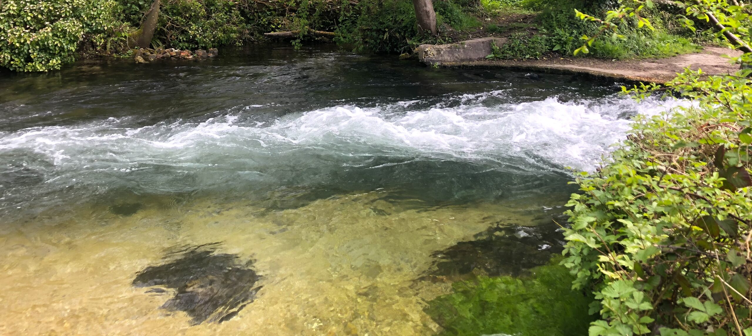 River Test pool